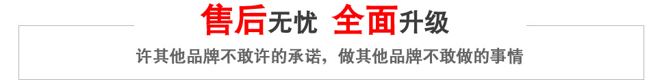 进口发电机